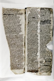 Digital Image of Folio 10r